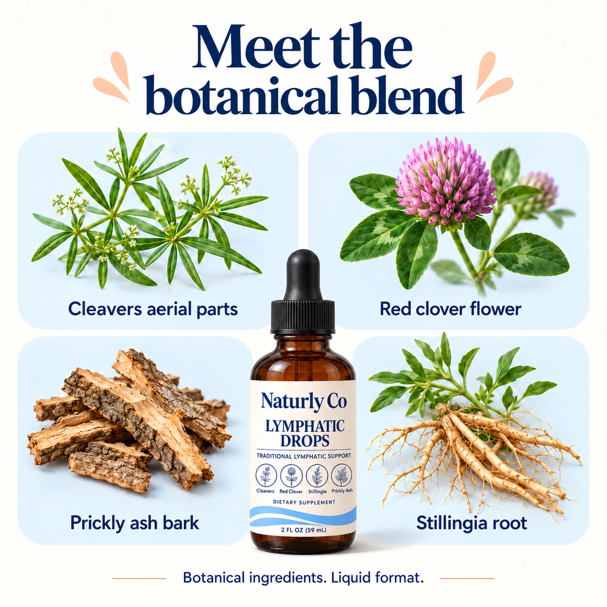 Reference botanical blend: cleavers, red clover, prickly ash and stillingia; supplier confirmation pending