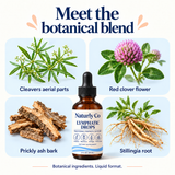 Reference botanical blend: cleavers, red clover, prickly ash and stillingia; supplier confirmation pending